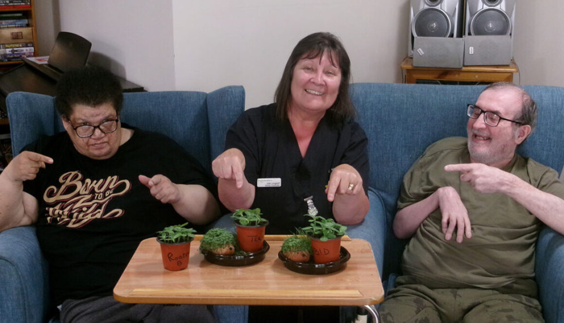 sherrington house seed planting update main
