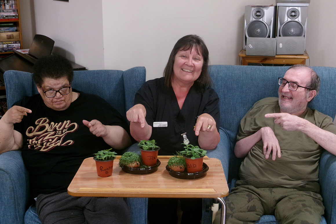 sherrington house seed planting update main sherrington house seed planting update main